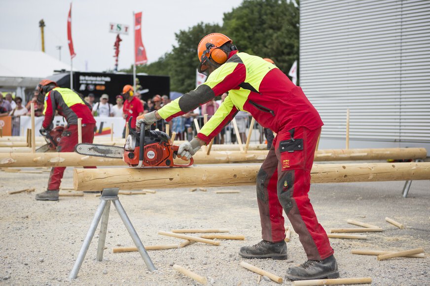Two men in red and yellow protective clothing use chainsaws to cut pieces of wood from lying tree trunks.