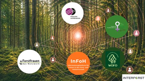 Illustration of a forest featuring the Networks logo.
