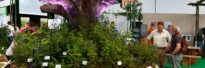  An artistic round bed with an inverted tree root in the center, surrounded by various tree seedlings, in an exhibition hall at INTERFORST.