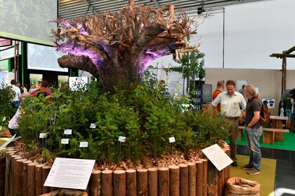 An artistic round bed with an inverted tree root in the center, surrounded by various tree seedlings, in an exhibition hall at INTERFORST.