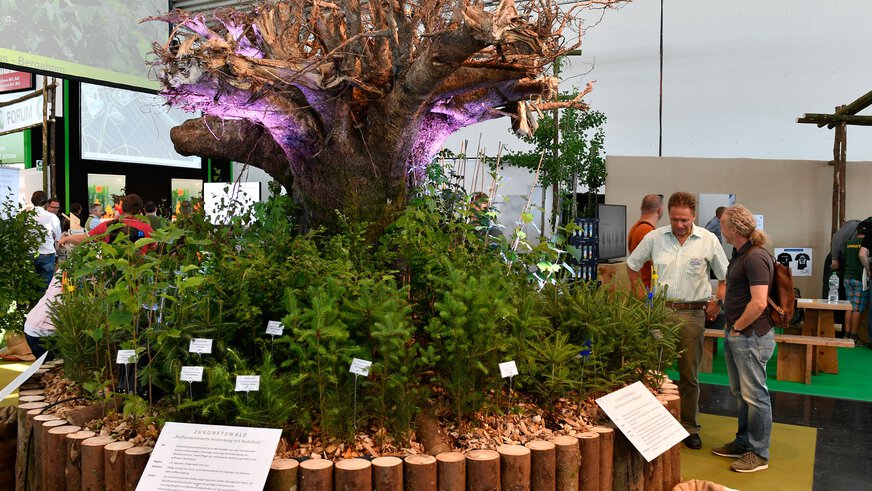 An artistic round bed with an inverted tree root in the center, surrounded by various tree seedlings, in an exhibition hall at INTERFORST.