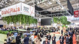 A view of the well-attended Hall B3 at EXPO REAL, featuring numerous stands, banners, seating areas and spotlights on the ceiling.
