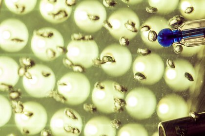 Close-up of numerous small, spherical objects with reflections and a kind of pipette in blue on the left side