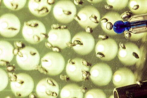 Close-up of numerous small, spherical objects with reflections and a kind of pipette in blue on the left side