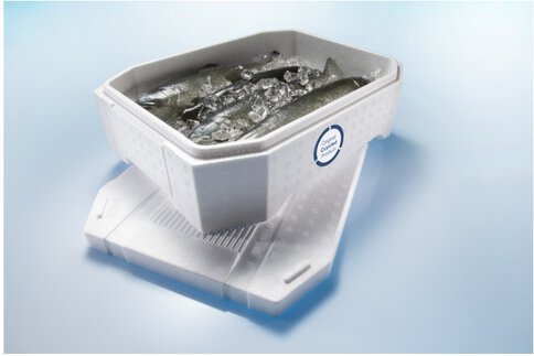 Eine Frischhaltebox für Fische aus Styropor Ccycled von BASF