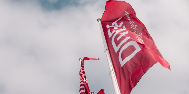 Zwei rote Fahnen mit weißem Aufdruck der DMEA wehen an Fahnenmasten vor einem bewölkten blauen Himmel.
