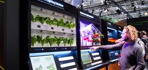 Person interacting with an exhibition on lighting solutions for agricultural interiors, with plants and tomatoes on display.