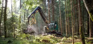 Harvester im Einsatz