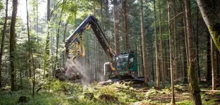 A dark green ‘harvester’ forestry machine with a long crane arm works among the trees in a sunlit forest.
