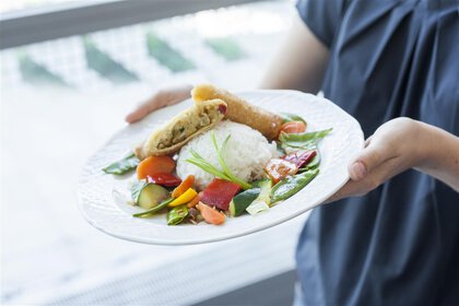 A person is holding a plate with rice, vegetables and a sliced spring roll.