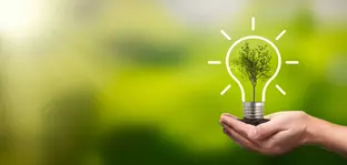 Against a blurred green background, hands hold a drawn light bulb with a tree in it, symbolising sustainability.