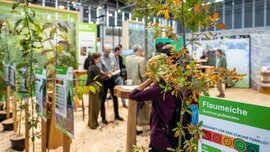 Junge Eichen und Informationstafeln an einem Messestand mit mehreren Besuchern.