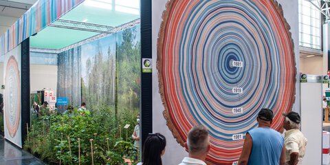 Visitors to INTERFORST look at the depiction of a huge tree trunk cut open. Some annual rings are highlighted with dates.