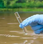 A hand in a blue plastic glove holds a test tube sample with water from a river.