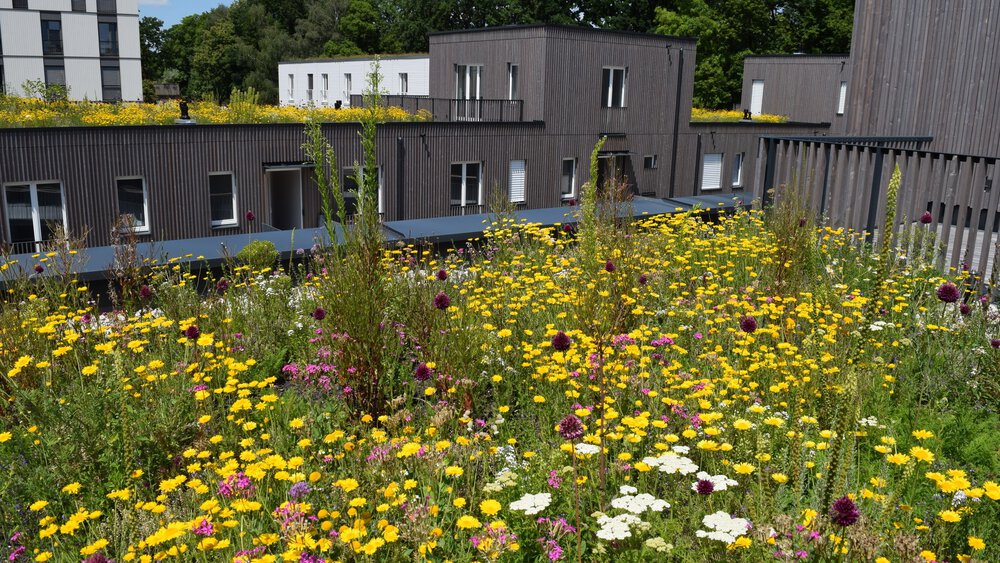  Green roofs and facades of various residential and building complexes, surrounded by lush vegetation and urban greenery, as examples of sustainable architecture and nature-oriented urban design.