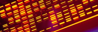 Nahaufnahme einer rot und orange beleuchteten Platte mit einem komplexen Muster aus Komponenten – eine Genanalytik.