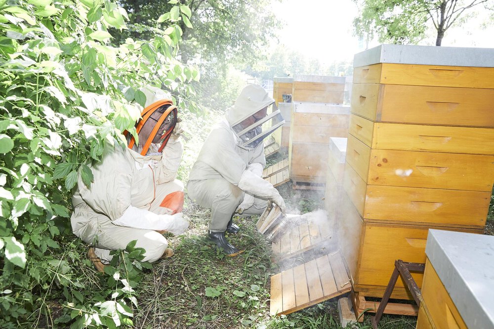 Bienenstock