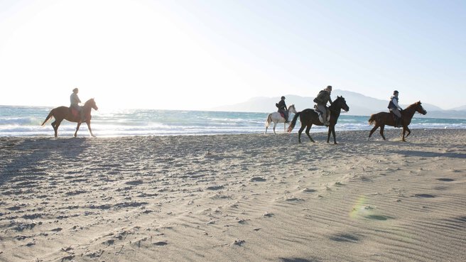 Vier Menschen reiten auf Pferden entlang eines Sandstrandes mit dem Meer und den Bergen im Hintergrund.