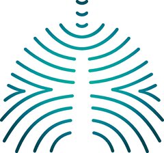 Stilisierte, geschwungene Linien bilden eine symmetrische, abstrakte Lunge auf weißem Hintergrund.