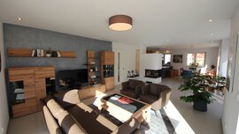 Blick in einen weitläufigen Wohnbereich mit Sofagarnitur, Fernseher, Pflanze, Kamin, Essbereich und eine Küche im Anschnitt.