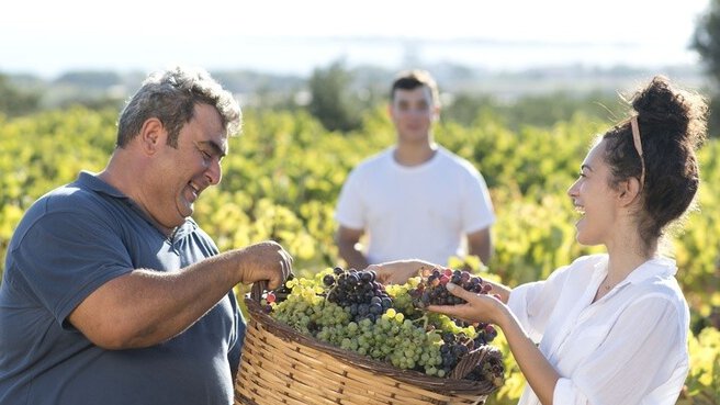 Zwei Personen, die lächelnd einen Korb mit Trauben in einem Weinberg halten, mit einer weiteren Person im Hintergrund.