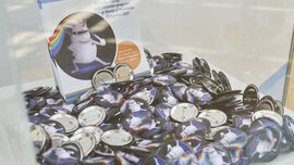 A box full of pins with a cartoon unicorn and flyers with texts promoting diversity, equality and inclusion.